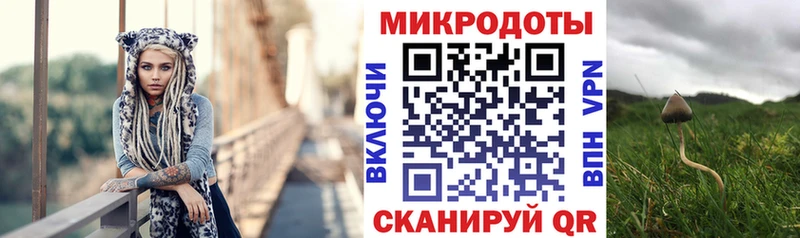 Купить  Починок  Псилоцибиновые грибы Magic Shrooms 
